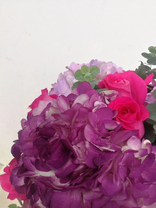 Hortensias en Cali