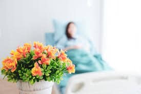 Flores de Recuperación