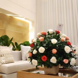 Canasta de Rosas Elena Premium