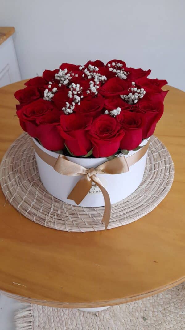 Caja de Rosas x 24 Rojas