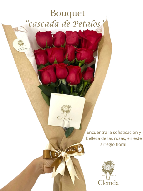 Bouquet Cascada de Petalos  ×12 Rosas tipo exportación