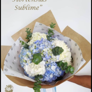 Bouquet de Hortensias Sublime