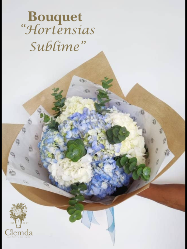 Bouquet de Hortensias Sublime