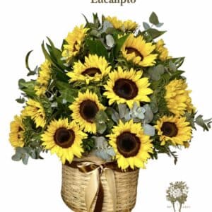 Canasta Soleada de Girasoles y Eucalipto