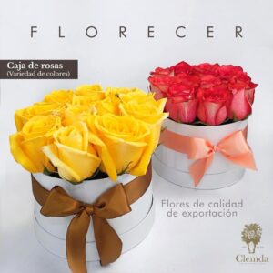 Caja de Rosas x12